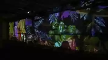 Free download JUNGLE VIDEO PROJECTION - SURA MARE video and edit with RedcoolMedia movie maker MovieStudio video editor online and AudioStudio audio editor onlin