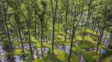 Free download Junya Ishigami Interview: Creating Nature with Time video and edit with RedcoolMedia movie maker MovieStudio video editor online and AudioStudio audio editor onlin