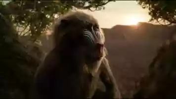 Free download Karly Yohe, Character  Creature Animation Reel video and edit with RedcoolMedia movie maker MovieStudio video editor online and AudioStudio audio editor onlin