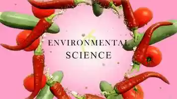 Free download Karnataka State Syllabus English Medium 1std Environmental Science DELICIOUS FOOD(CHPT-4) PART-1 video and edit with RedcoolMedia movie maker MovieStudio video editor online and AudioStudio audio editor onlin