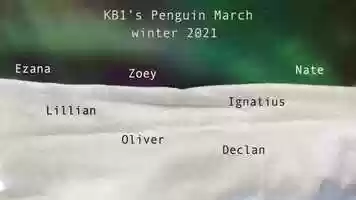 Free download KB1s penguin march 2021 video and edit with RedcoolMedia movie maker MovieStudio video editor online and AudioStudio audio editor onlin