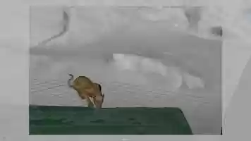 Free download Kean Huynh _ Animation reel _ Summer 2019 video and edit with RedcoolMedia movie maker MovieStudio video editor online and AudioStudio audio editor onlin