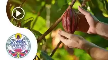 Free download Keiths Cacao Homecoming 2021 video and edit with RedcoolMedia movie maker MovieStudio video editor online and AudioStudio audio editor onlin