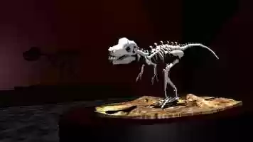 Free download Kelley Long - Animation Reel video and edit with RedcoolMedia movie maker MovieStudio video editor online and AudioStudio audio editor onlin