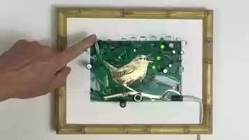 Free download Kelly Heaton, Pretty Bird ver.CC 2019 video and edit with RedcoolMedia movie maker MovieStudio video editor online and AudioStudio audio editor onlin