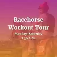 Free download Kentucky Derby Museum Introduces Racehorse Workout Tour video and edit with RedcoolMedia movie maker MovieStudio video editor online and AudioStudio audio editor onlin