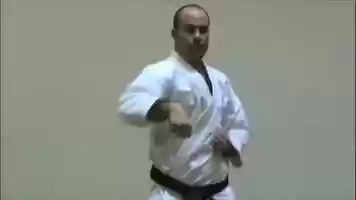 Free download Kihon Techniques 01 - Choku Zuki video and edit with RedcoolMedia movie maker MovieStudio video editor online and AudioStudio audio editor onlin
