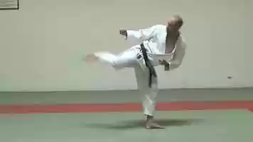 Free download Kihon Techniques 05 - Ushiro Geri video and edit with RedcoolMedia movie maker MovieStudio video editor online and AudioStudio audio editor onlin