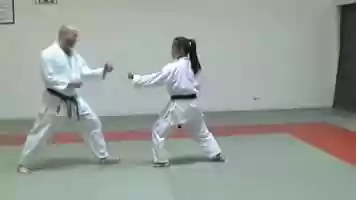 Free download Kihon Techniques Combinations 04 - Mae Geri Oi Zuki video and edit with RedcoolMedia movie maker MovieStudio video editor online and AudioStudio audio editor onlin