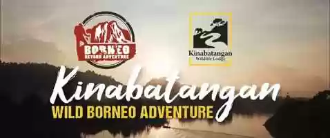 Free download Kinabatangan Wildlife Lodge video and edit with RedcoolMedia movie maker MovieStudio video editor online and AudioStudio audio editor onlin