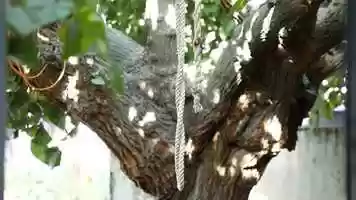 Free download Kiss me short film  official trailer video and edit with RedcoolMedia movie maker MovieStudio video editor online and AudioStudio audio editor onlin