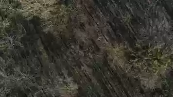 Free download Klosterneuburg Donau video and edit with RedcoolMedia movie maker MovieStudio video editor online and AudioStudio audio editor onlin