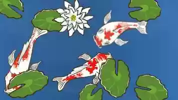 Free download Koi Fish Animation video and edit with RedcoolMedia movie maker MovieStudio video editor online and AudioStudio audio editor onlin