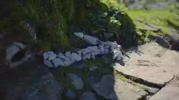 Free download Kolon Sport video and edit with RedcoolMedia movie maker MovieStudio video editor online and AudioStudio audio editor onlin