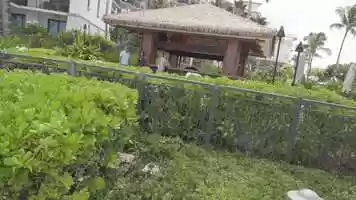 Free download Ko Olina Opens video and edit with RedcoolMedia movie maker MovieStudio video editor online and AudioStudio audio editor onlin