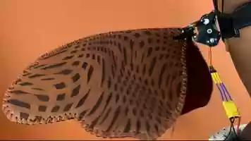 Free download Kosmos in Blue 2020 video and edit with RedcoolMedia movie maker MovieStudio video editor online and AudioStudio audio editor onlin