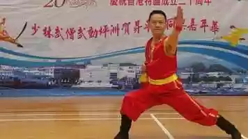 Free download Kung Fu Demonstration - jo video and edit with RedcoolMedia movie maker MovieStudio video editor online and AudioStudio audio editor onlin