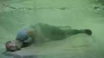 Free download Labsence de pre - Lorraine de Sagazan - teaser video and edit with RedcoolMedia movie maker MovieStudio video editor online and AudioStudio audio editor onlin