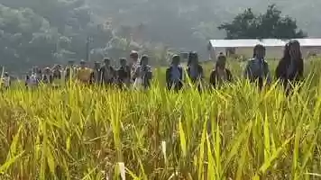 Free download La Gazelle au Npal : Teaser video and edit with RedcoolMedia movie maker MovieStudio video editor online and AudioStudio audio editor onlin