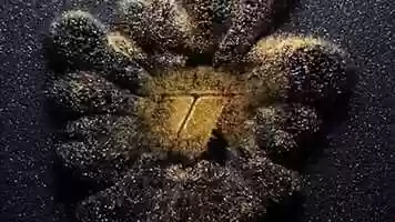 Free download Laminoir double lastra filo / laminatoi lastra filo video and edit with RedcoolMedia movie maker MovieStudio video editor online and AudioStudio audio editor onlin