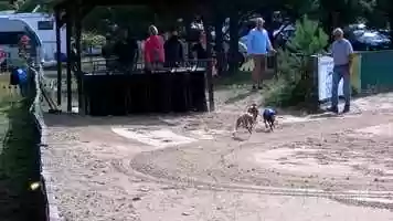 Free download Landessieger Rennen  07.08.2021 video and edit with RedcoolMedia movie maker MovieStudio video editor online and AudioStudio audio editor onlin