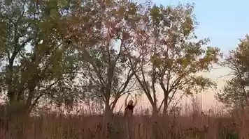 Free download Land Mass: South Shore video and edit with RedcoolMedia movie maker MovieStudio video editor online and AudioStudio audio editor onlin