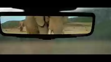 Free download Land Rover Discovery Animal Car Wash video and edit with RedcoolMedia movie maker MovieStudio video editor online and AudioStudio audio editor onlin