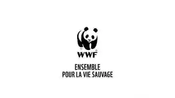 Free download Langage WWF France video and edit with RedcoolMedia movie maker MovieStudio video editor online and AudioStudio audio editor onlin