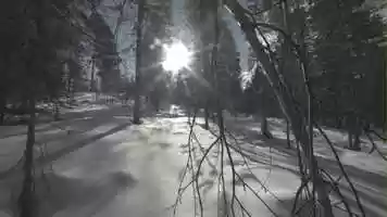 Free download Lapland Tourism Tundrea video and edit with RedcoolMedia movie maker MovieStudio video editor online and AudioStudio audio editor onlin
