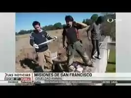 Free download Las Noticias con Mari Loli Pelln y Gilberto Brenis En misiones de san Francisco, se registr un nuevo caso de crueldad animal video and edit with RedcoolMedia movie maker MovieStudio video editor online and AudioStudio audio editor onlin
