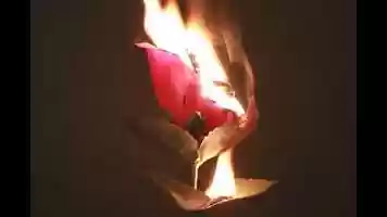 Free download Laura_Williams_Stop_Motion_Animation video and edit with RedcoolMedia movie maker MovieStudio video editor online and AudioStudio audio editor onlin