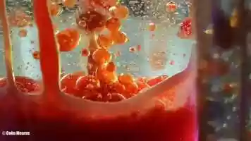 Free download Lava lamp experiment, March 2020 video and edit with RedcoolMedia movie maker MovieStudio video editor online and AudioStudio audio editor onlin