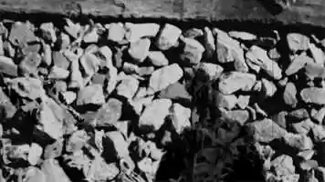 Free download Lazarus and the Phoenix video and edit with RedcoolMedia movie maker MovieStudio video editor online and AudioStudio audio editor onlin