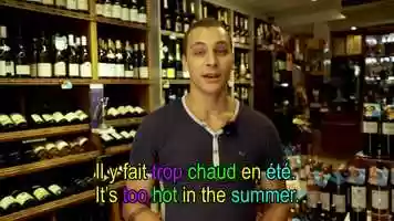 Free download Learn French 2-26 Paris video and edit with RedcoolMedia movie maker MovieStudio video editor online and AudioStudio audio editor onlin