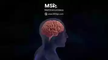 Free download Learn how the powerhouse of the human body works video and edit with RedcoolMedia movie maker MovieStudio video editor online and AudioStudio audio editor onlin