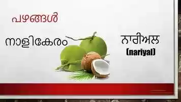 Free download Learn how to pronounce fruits in Punjabi from Malayalam language video and edit with RedcoolMedia movie maker MovieStudio video editor online and AudioStudio audio editor onlin
