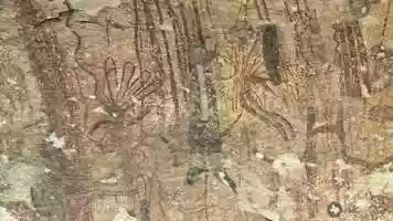 Free download Learning About Texas Rock Art video and edit with RedcoolMedia movie maker MovieStudio video editor online and AudioStudio audio editor onlin