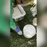 Free download Learning plastering with hemp video and edit with RedcoolMedia movie maker MovieStudio video editor online and AudioStudio audio editor onlin