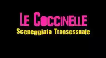 Free download LE COCCINELLE - SCENEGGIATA TRANSESSUALE TRAILER video and edit with RedcoolMedia movie maker MovieStudio video editor online and AudioStudio audio editor onlin