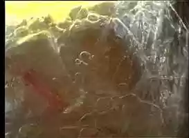 Free download LEG FIBER FIBRILLAR NETWORK MOVEMENT GLIDING SYSTEM SLIDING LENGHTENING DIVIDING NONHD 20030507 09.07.50.mov video and edit with RedcoolMedia movie maker MovieStudio video editor online and AudioStudio audio editor onlin