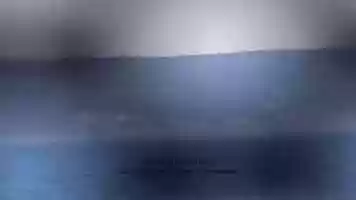 Free download Lelek bita video and edit with RedcoolMedia movie maker MovieStudio video editor online and AudioStudio audio editor onlin