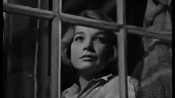 Free download Lenny Welch - Since I Fell For You (1963) video and edit with RedcoolMedia movie maker MovieStudio video editor online and AudioStudio audio editor onlin