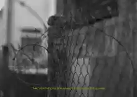 Free download LES BRUITS DE MA VILLE video and edit with RedcoolMedia movie maker MovieStudio video editor online and AudioStudio audio editor onlin