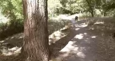 Free download Les Sportifs, Episodes 2 - Un Acteur est un Sportifs( de haut niveau) sans entranement, il ne dure pas .. video and edit with RedcoolMedia movie maker MovieStudio video editor online and AudioStudio audio editor onlin