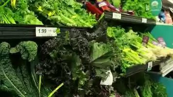 Free download Lets Start with Your Nutrition video and edit with RedcoolMedia movie maker MovieStudio video editor online and AudioStudio audio editor onlin