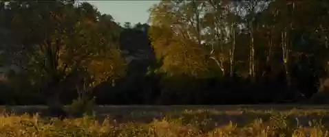 Free download lgie du dernier instant video and edit with RedcoolMedia movie maker MovieStudio video editor online and AudioStudio audio editor onlin