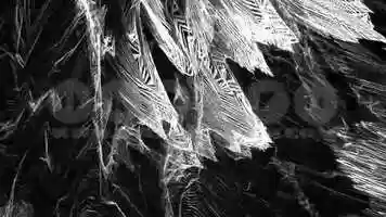 Free download Life Movement - VJ Loop Pack (6in1) video and edit with RedcoolMedia movie maker MovieStudio video editor online and AudioStudio audio editor onlin