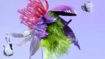 Free download Light Arc- Stranger Spring Animation video and edit with RedcoolMedia movie maker MovieStudio video editor online and AudioStudio audio editor onlin