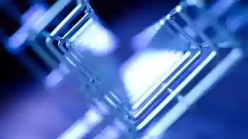 Free download Light echos_Rozsochč_Czech Hedgehog trailer video and edit with RedcoolMedia movie maker MovieStudio video editor online and AudioStudio audio editor onlin