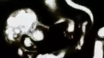 Free download Light - Sand Animation video and edit with RedcoolMedia movie maker MovieStudio video editor online and AudioStudio audio editor onlin